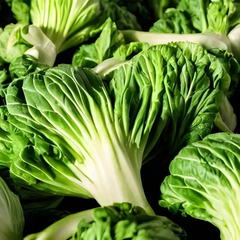 Pak Choy
