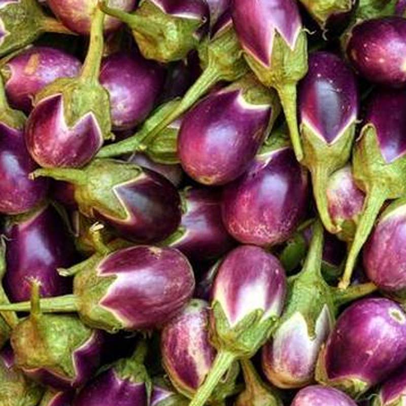 Brinjal