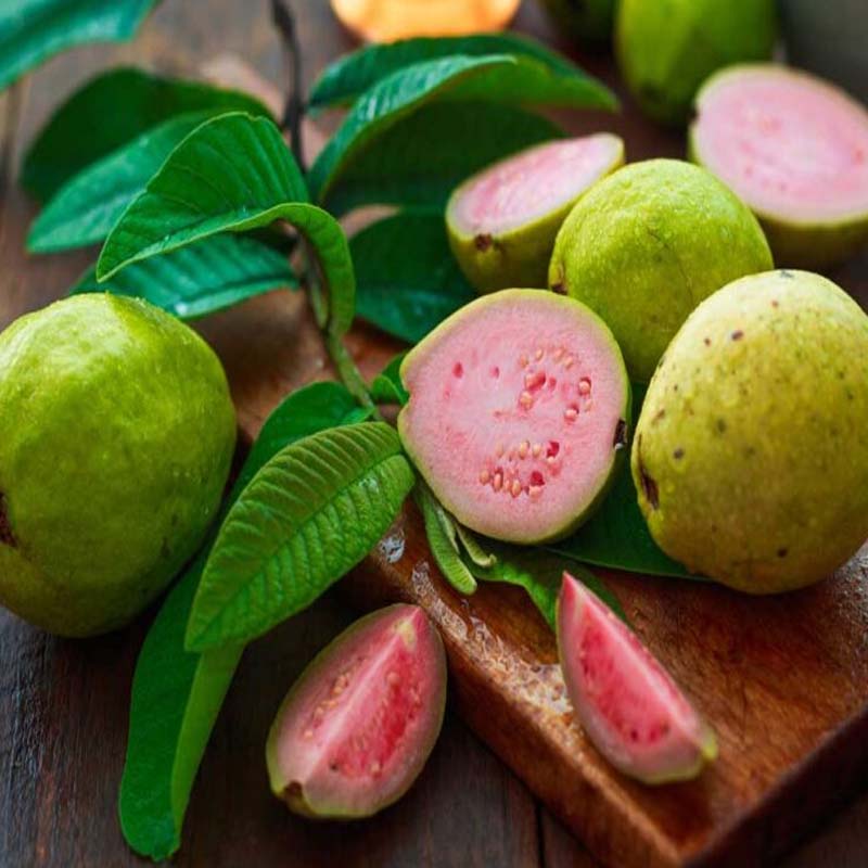 Guava