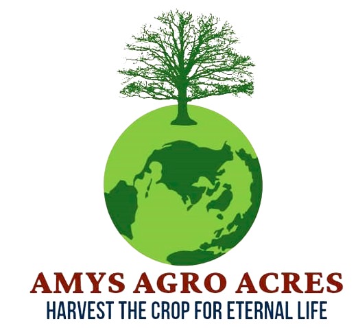 Amys Argo Acres