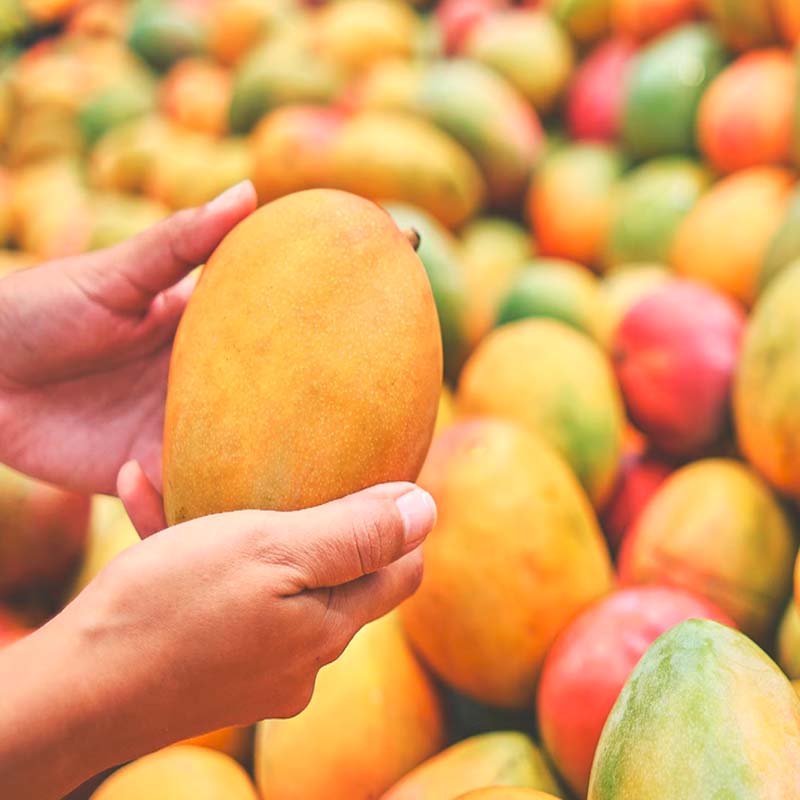 Mango