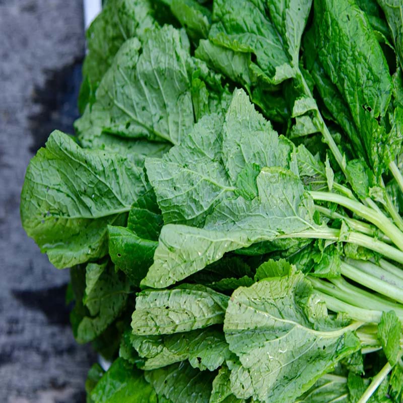 Mustard Leaf (Sawi)